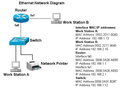 ccst networking practice question image