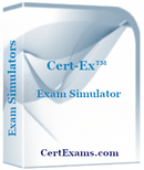 CCSA Exam Sim