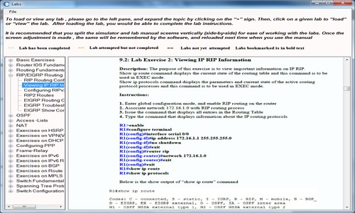 CCNA Network Sim Lab manual